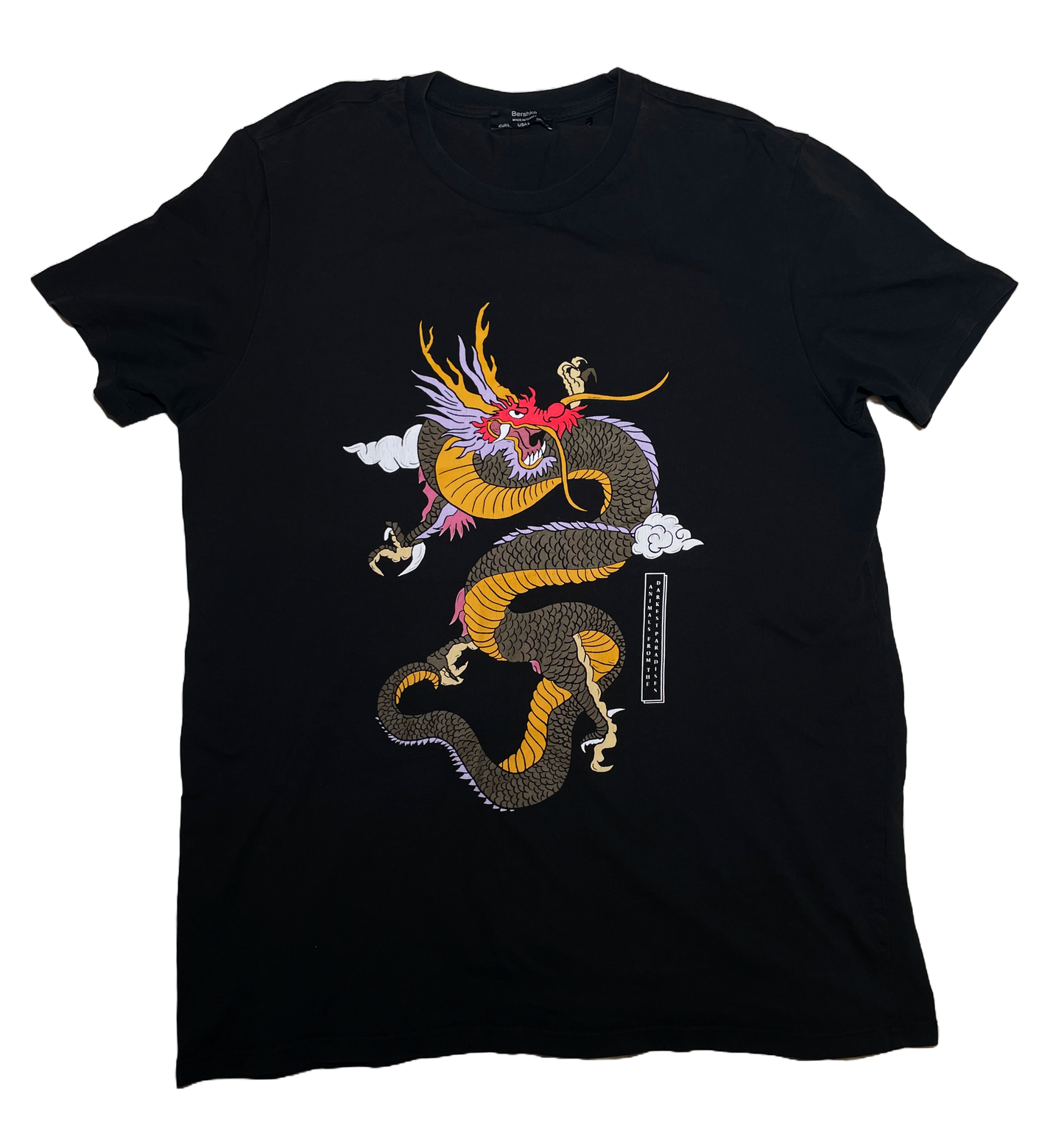 CAMISETA DRAGON