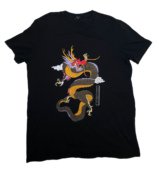 CAMISETA DRAGON