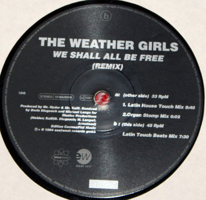 The Weather Girls – We Shall All Be Free (Remix) VINYL