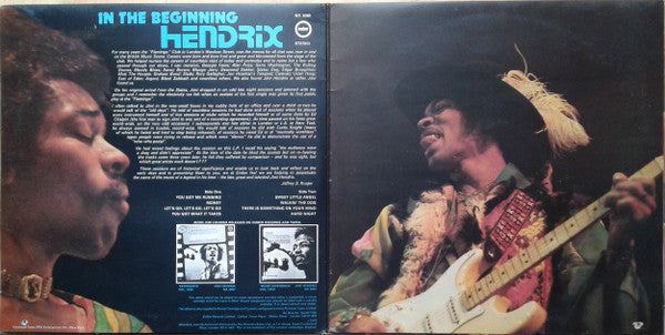 Jimi Hendrix – In The Beginning VINYL